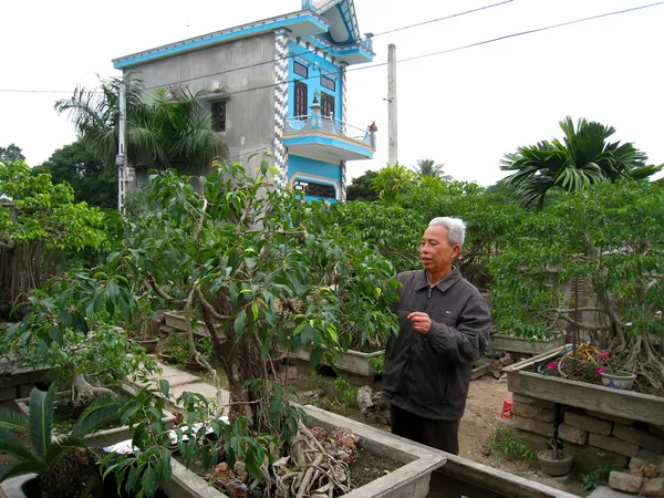 身份不明的老男人修剪盆景 — 图库照片