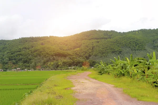 Rural landscape — Stock Photo, Image