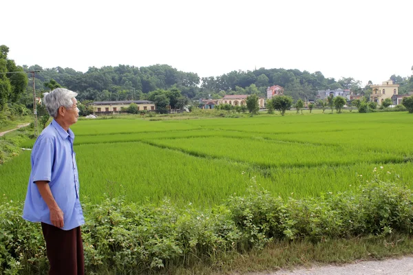 Asian old man says and smiles — Stock Photo, Image