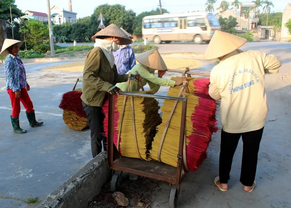 Kuruduktan sonra tütsü çubukları Vietnamlı kadınları toplamak — Stok fotoğraf