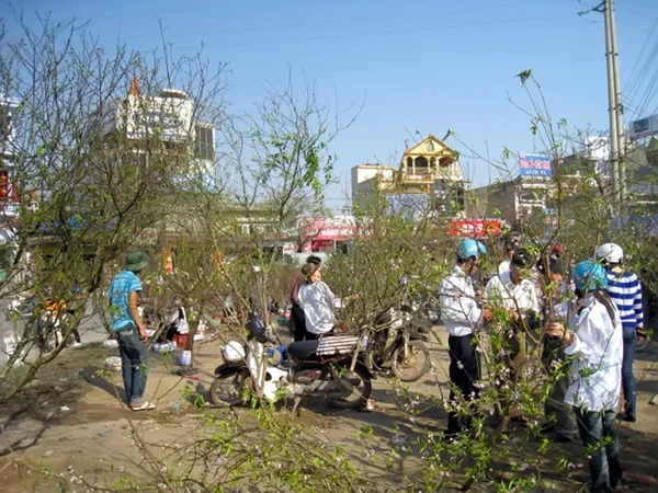 As pessoas compram flores de pêssego do Ano Novo — Fotografia de Stock