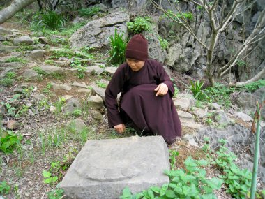 monk in Bahçe pagoda ayıklayacaktır