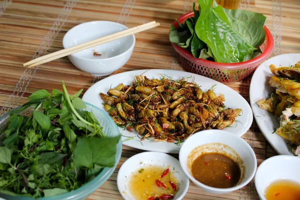 油炸的蝉，越南的唯一一顿饭 — 图库照片