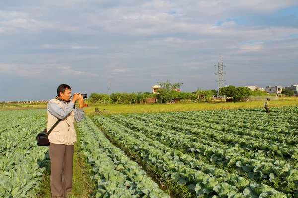 Reporter take photo in the field — Stock Photo, Image