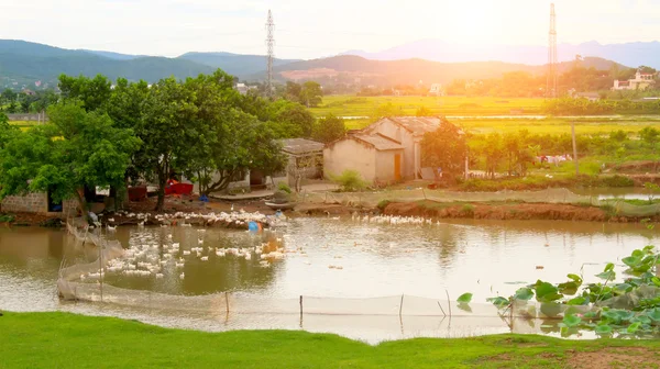 Farmhouse — Stock Photo, Image