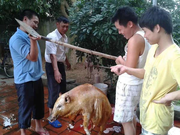 Der Schlachter schlachtet Schwein — Stockfoto