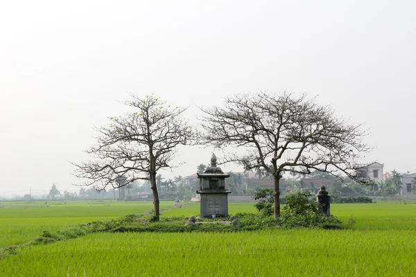 Zengin bir kadın feodal Times, vietnam'ın eski Türbesi — Stok fotoğraf