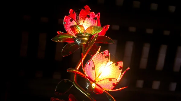 Lotuslichter — Stockfoto