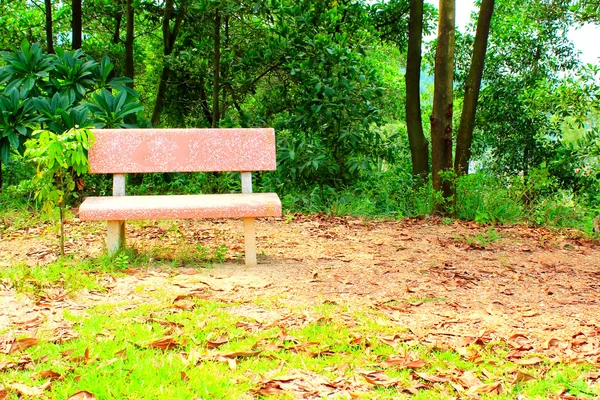 Stone bench in the garden — Stock Photo, Image