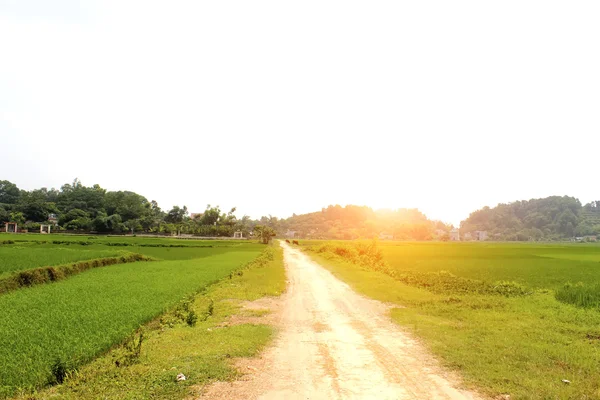 田舎道 — ストック写真