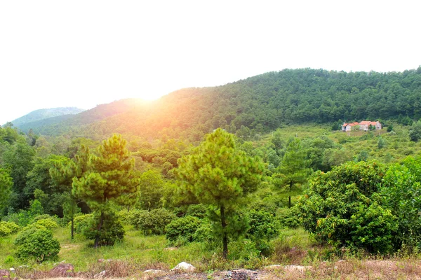 Dağ — Stok fotoğraf