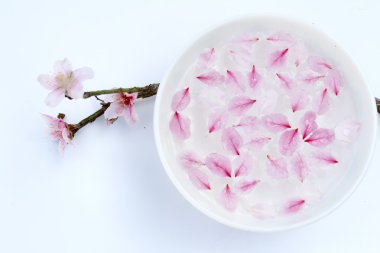 su, şeftali yaprakları