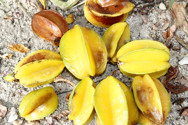 Çürük starfruit — Stok fotoğraf