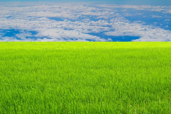 Il cielo — Foto Stock