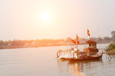 Tarlaya pirinç eken çiftçi