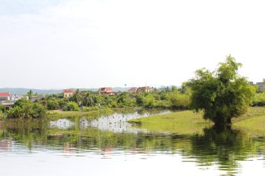Bambu ağaçları ile Vietnam kırsal manzara