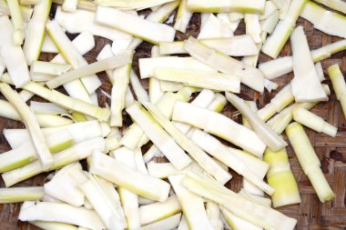 Tarlaya pirinç eken çiftçi