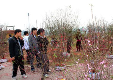 bir Pazar kırsal Vietnam