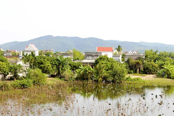 Agriculteur plantant du riz dans le champ — Photo