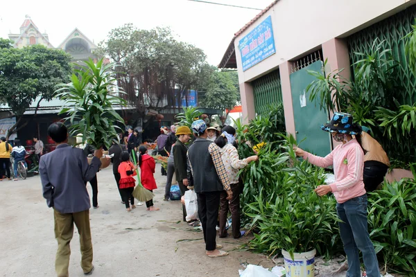 Vendre des fleurs au marché — Photo