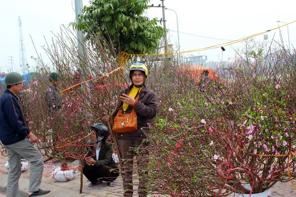 Venta de flores en el mercado —  Fotos de Stock