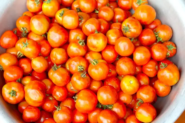 Rijpe tomaten — Stockfoto