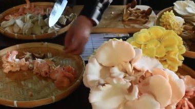 Mutfakta Mantar Çorbası Pişiriyorum