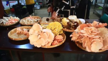 Mutfakta Mantar Çorbası Pişiriyorum