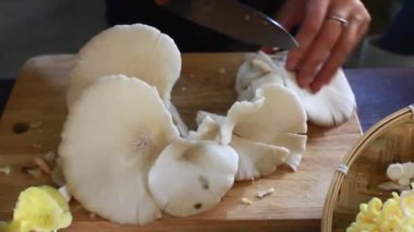 Mutfakta Mantar Çorbası Pişiriyorum