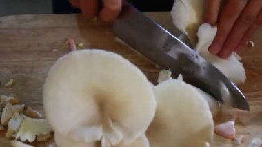 Mutfakta Mantar Çorbası Pişiriyorum