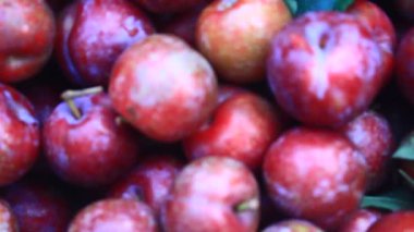 Olgun erikler bir kutuda