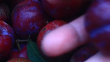 Olgun erikler bir kutuda