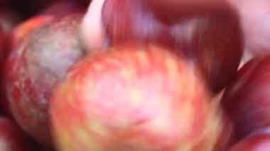 Olgun erikler bir kutuda