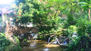 ormanın derinliklerinde akan şelale