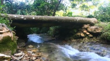 ormanın derinliklerinde akan şelale