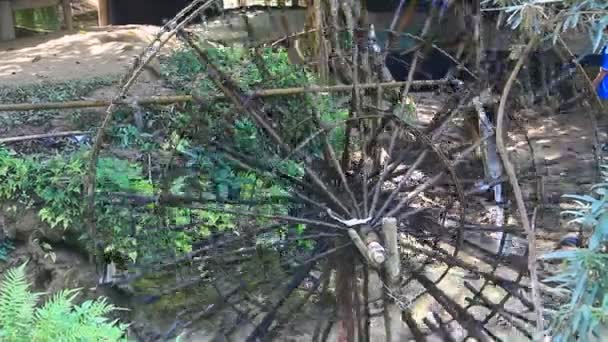 Waterwheels Take Water Rice — Video
