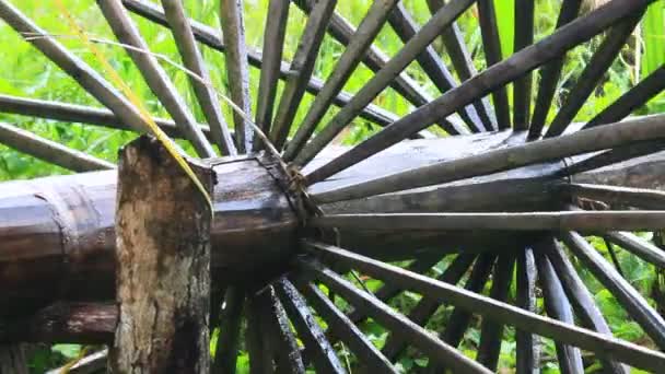 Waterwheels Take Water Rice — Video