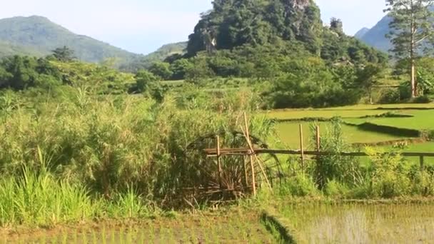 Vodní Kola Bambusu Navijáky Odvádějí Vodu Potoka Zalévají Rýži Oblíbená — Stock video