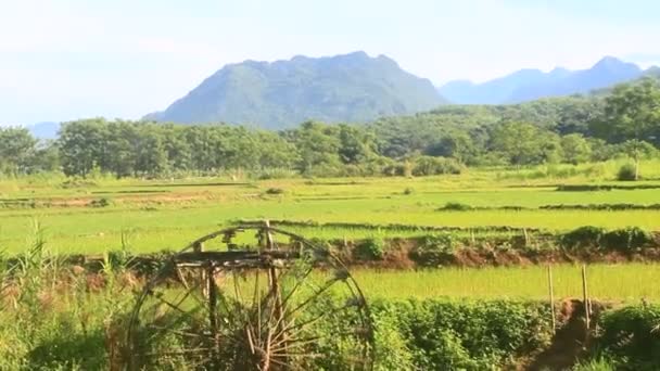 Waterwheels Make Bamboo Reels Take Water Stream Water Rice Popular — ストック動画