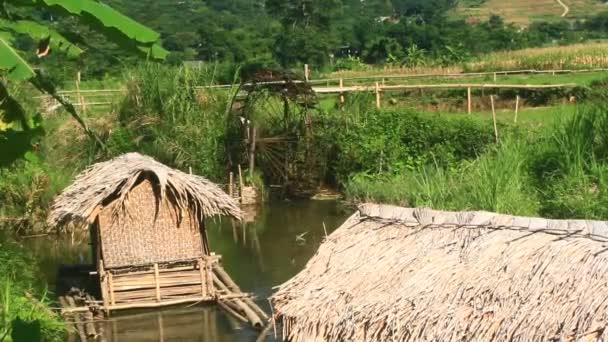 Koła Wodne Wykonane Przez Bambusa Kołowrotki Pobierają Wodę Strumienia Aby — Wideo stockowe
