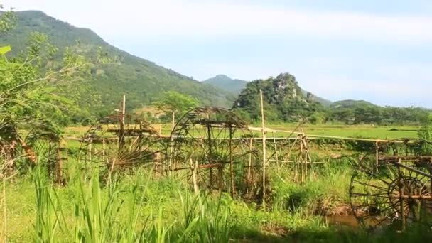 Koła Wodne Wykonane Przez Bambusa Kołowrotki Pobierają Wodę Strumienia Aby — Wideo stockowe