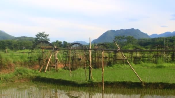 Waterwheels Make Bamboo Reels Take Water Stream Water Rice Popular — Video
