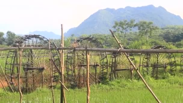 Çarkları Bambudan Yapılır Makaralar Pirinci Sulamak Için Dereden Alır Vietnam — Stok video