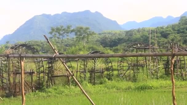 Waterwheels Make Bamboo Reels Take Water Stream Water Rice Popular — 비디오