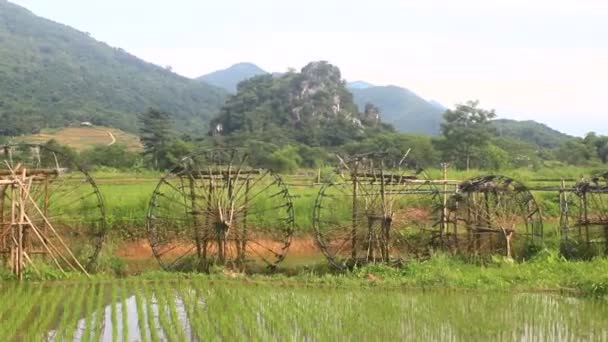 Водяные Колеса Делают Бамбука Катушки Берут Воду Ручья Поливать Рис — стоковое видео