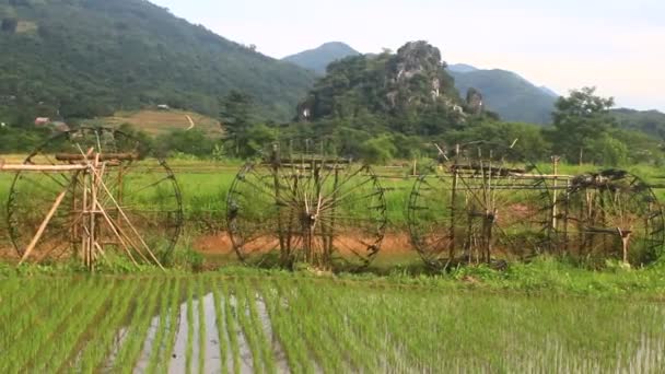 水轮是竹子做的 卷轴从溪流中取水给米浇水 这是越南山区少数民族中一个很受欢迎的项目 — 图库视频影像