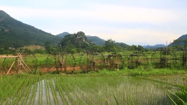 Çarkları Bambudan Yapılır Makaralar Pirinci Sulamak Için Dereden Alır Vietnam — Stok video