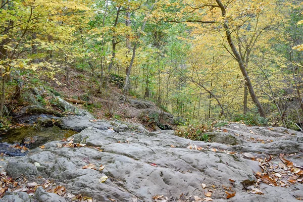 Fall Color Rocky Terrain Land Run Trail Shenandoah National Park — Stock Photo, Image