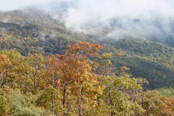 Nuvens Baixas Cor Montanha Outonal Parque Nacional Shenandoah Virgínia — Fotografia de Stock