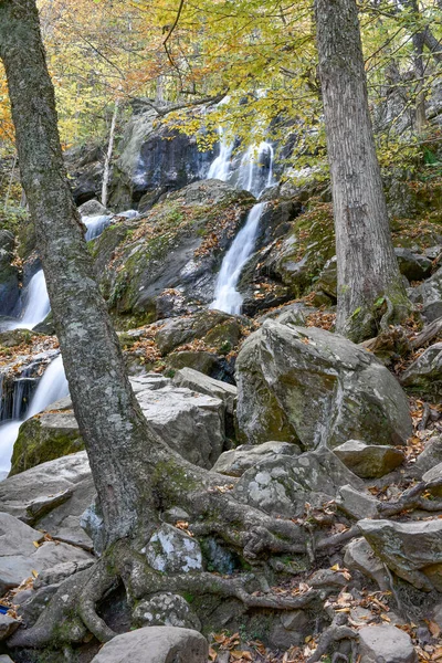 Dark Hollow Falls Parque Nacional Shenandoah Virgínia — Fotografia de Stock